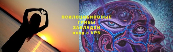 ПСИЛОЦИБИНОВЫЕ ГРИБЫ Дмитриев