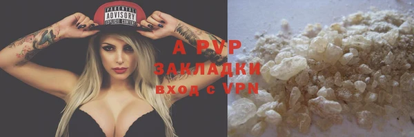 ПСИЛОЦИБИНОВЫЕ ГРИБЫ Дмитриев