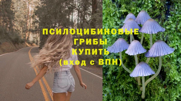 mdpv Дмитровск