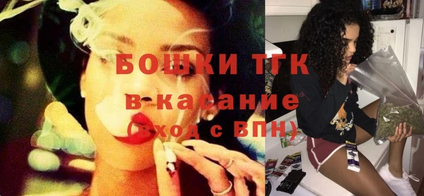 ПСИЛОЦИБИНОВЫЕ ГРИБЫ Дмитриев