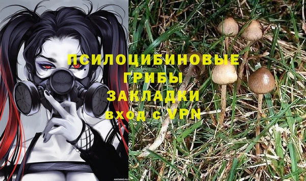 ПСИЛОЦИБИНОВЫЕ ГРИБЫ Дмитриев