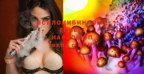 ПСИЛОЦИБИНОВЫЕ ГРИБЫ Дмитриев