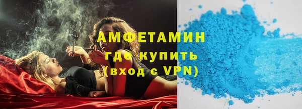 ПСИЛОЦИБИНОВЫЕ ГРИБЫ Дмитриев