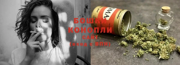 ПСИЛОЦИБИНОВЫЕ ГРИБЫ Дмитриев